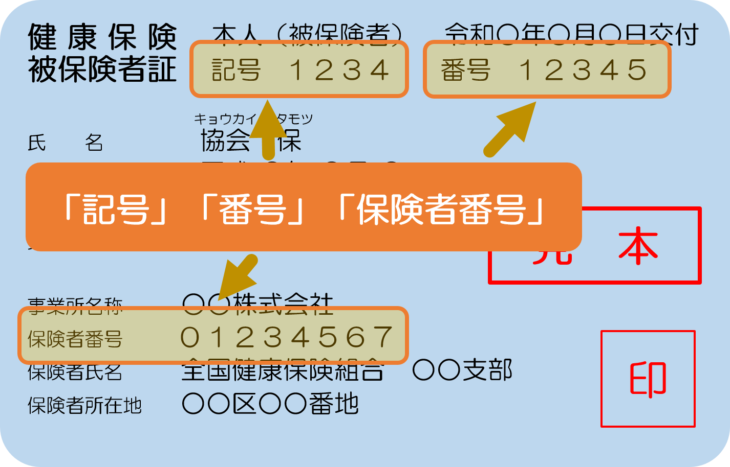 健康保険証の「記号・番号・保険者番号」の意味をくわしく解説します IchiPapa Blog