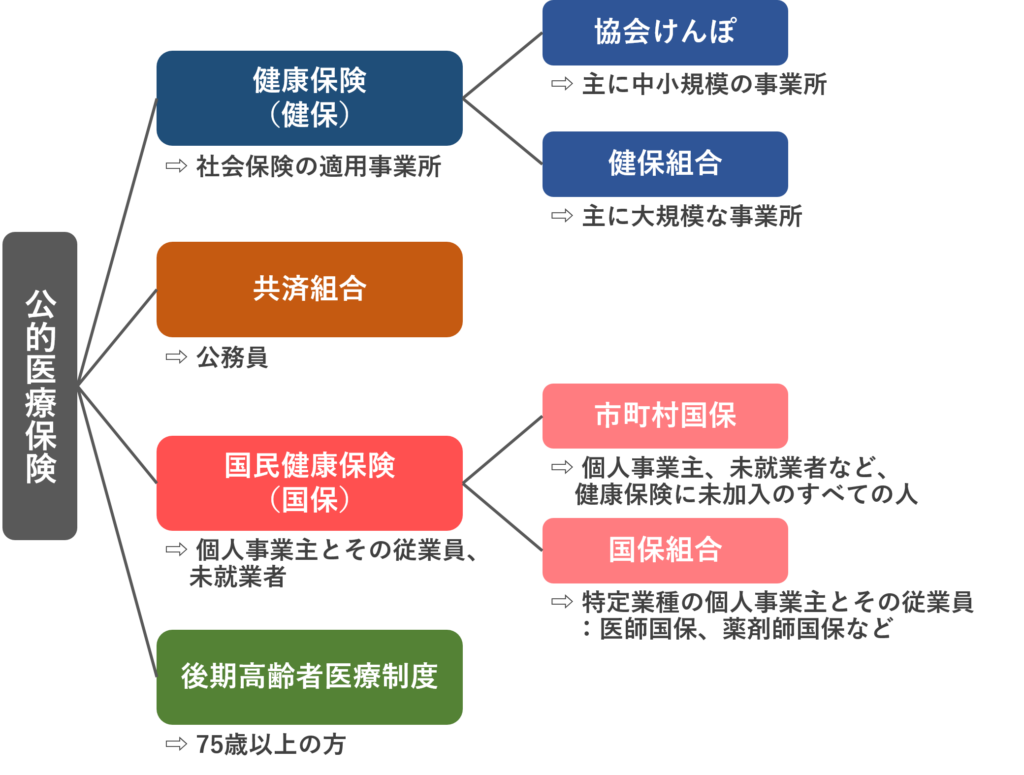 健康保険証の種類「協会けんぽ・共済組合・後期高齢者など」についてくわしく解説します
